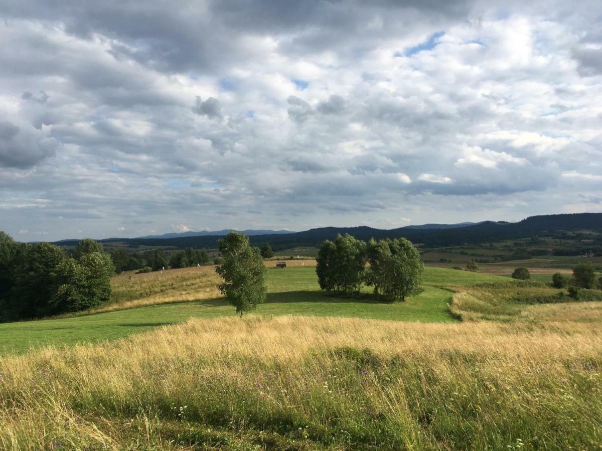 Pokoje U Bozeny I Zbyszka Lipie  Extérieur photo