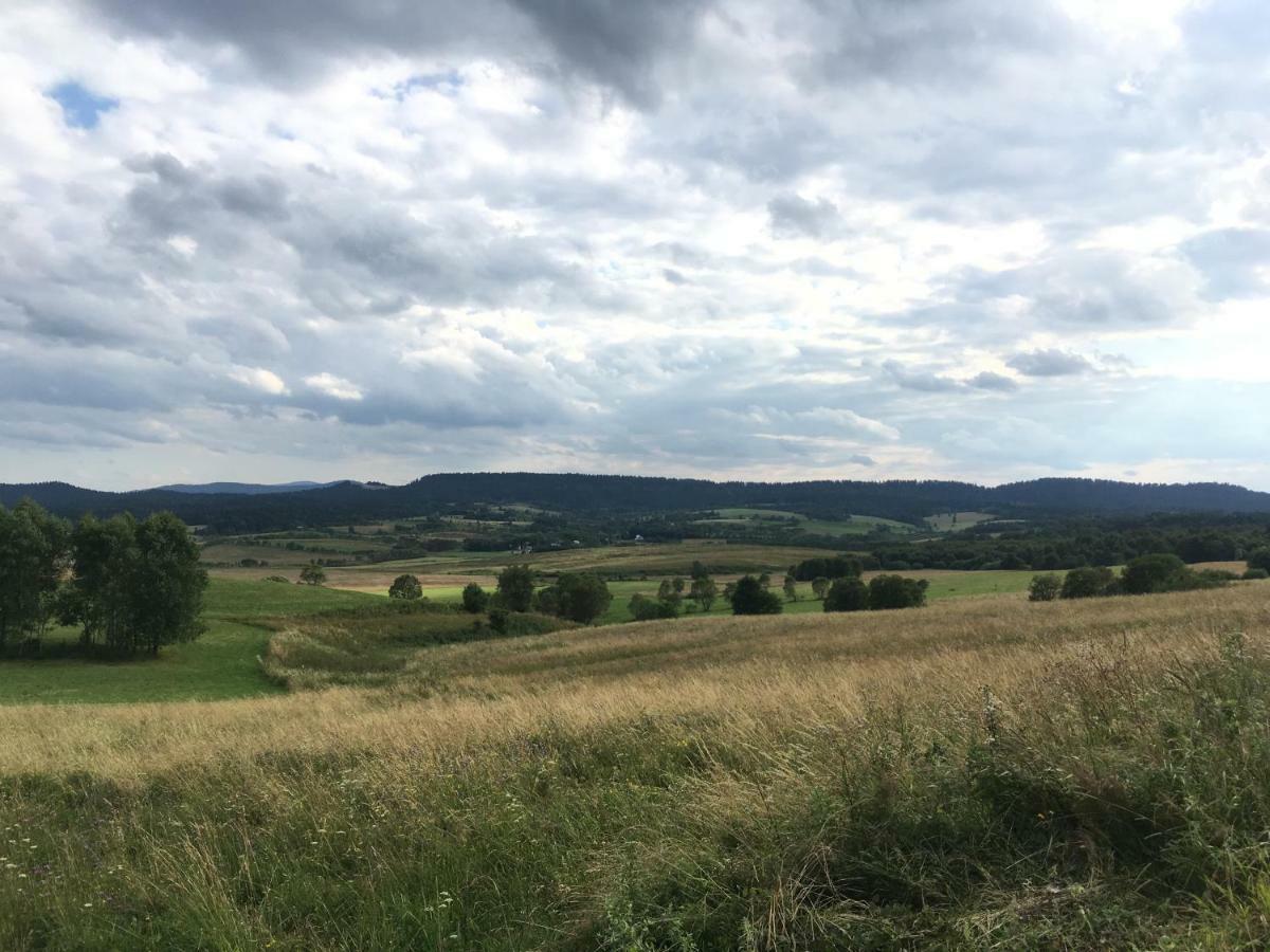 Pokoje U Bozeny I Zbyszka Lipie  Extérieur photo