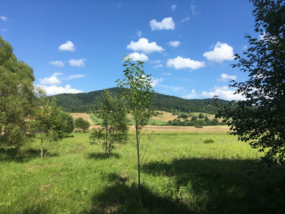 Pokoje U Bozeny I Zbyszka Lipie  Extérieur photo
