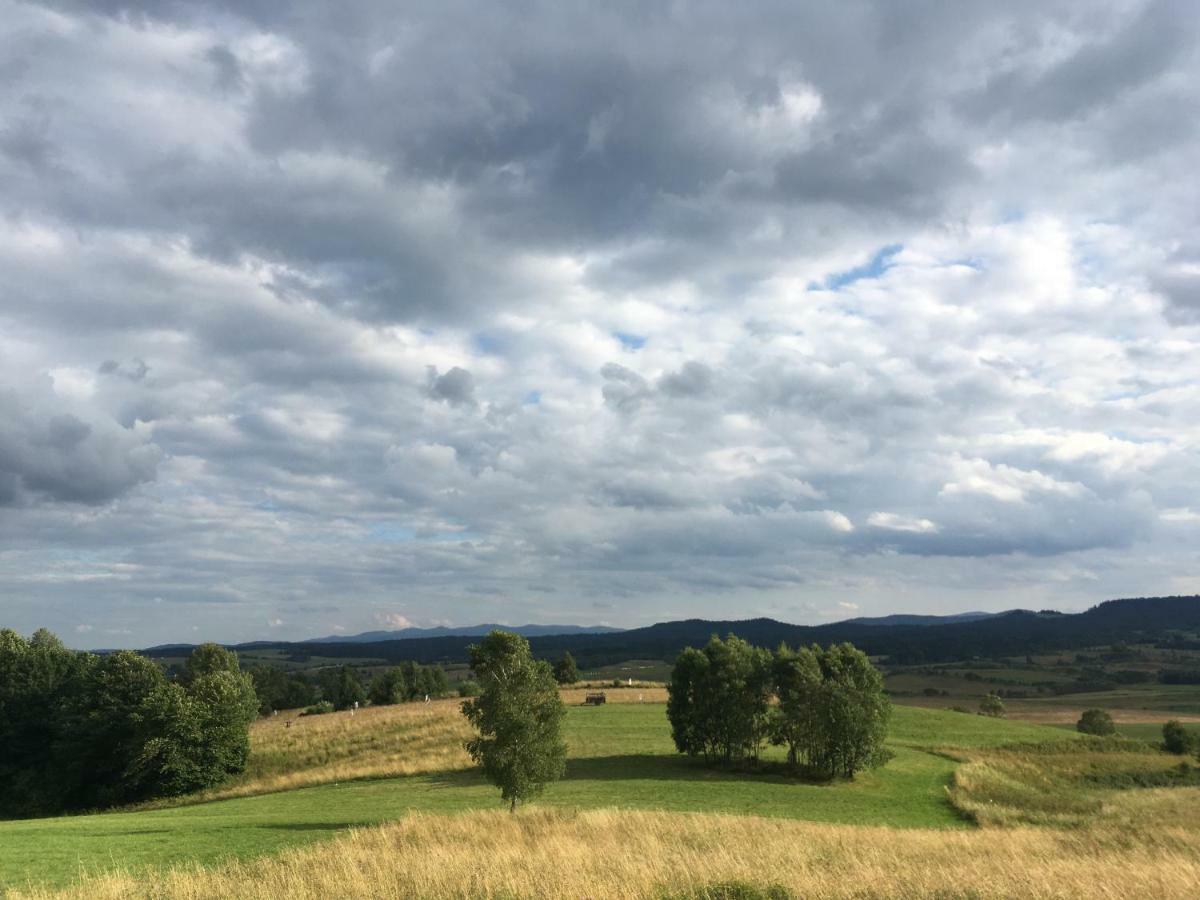 Pokoje U Bozeny I Zbyszka Lipie  Extérieur photo